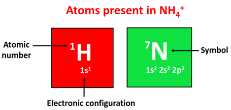 Atom present in NH4+