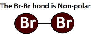 Br-Br bond is nonpolar in Br2