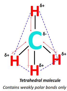 CH4 polarity