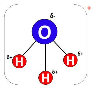 Dipole charge in H3O+