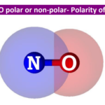 Is NO polar or nonpolar