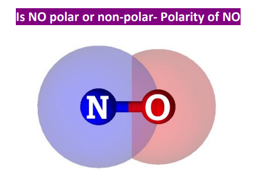 Is Nitric oxide (NO) polar or nonpolar