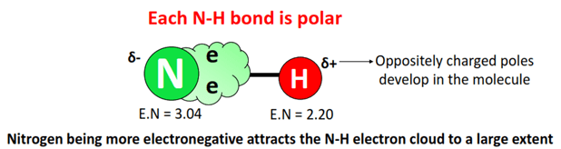 N-H bond is polar in NH4+