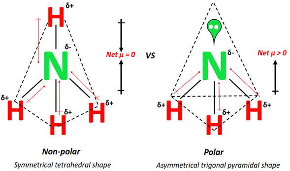 NH4+ is nonpolar but NH3 is polar