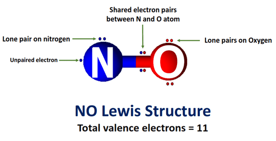 What is NO lewis structure