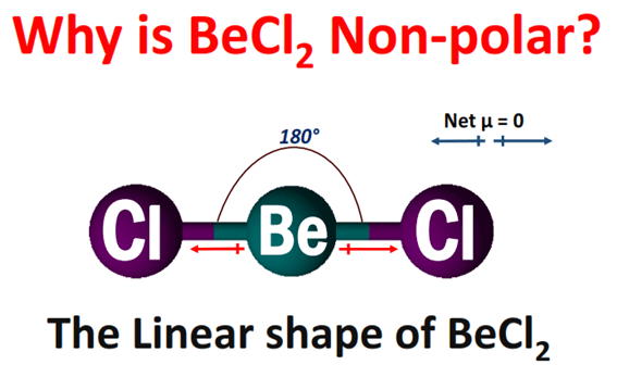 Why is BeCl2 nonpolar