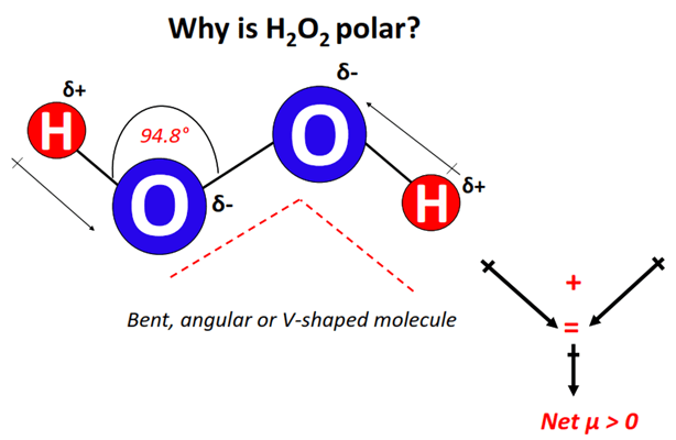 Why is H2O2 polar molecule