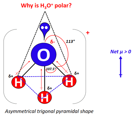 Why is H3O+ polar