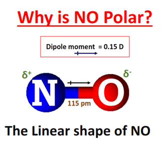 Why is Nitrogen oxide (NO) polar molecule