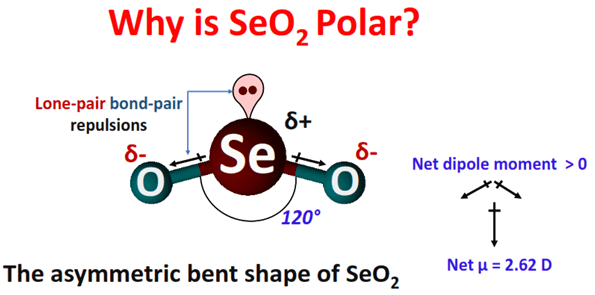 Why is SeO2 polar