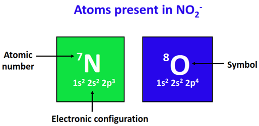 atom present in no2-