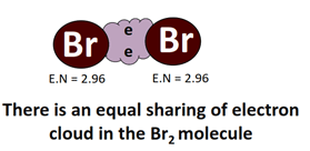 bonds in Br2 nonpolar because of equal sharing of electrons