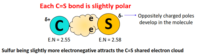 bonds in CS2 are polar