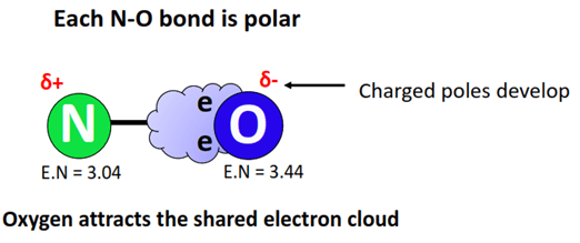 bonds in NO2- are polar