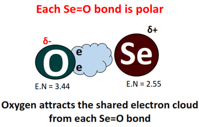 bonds in seo2 is polar