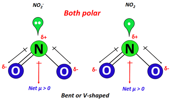 compare the polarity of no2- vs no2