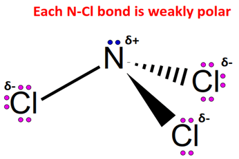 each N-Cl bond is weakly polar