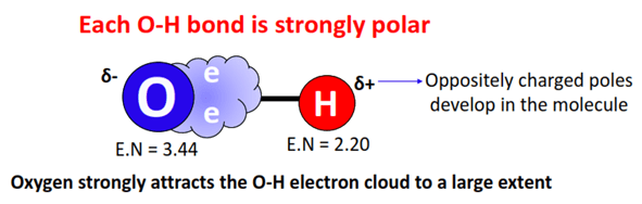 each bond is polar in H3O+