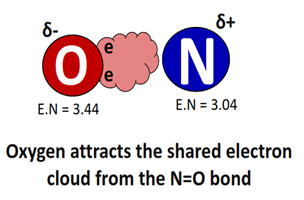 electronegativity difference affecting the polarity of NO