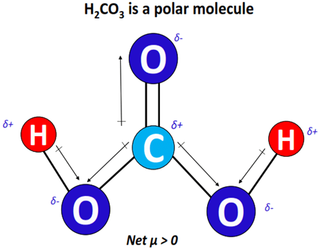 h2co3 polar or nonpolar