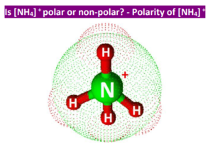 Is NH4+ Polar or Nonpolar? - Polarity of Ammonium ion