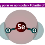 is seo2 polar or nonpolar