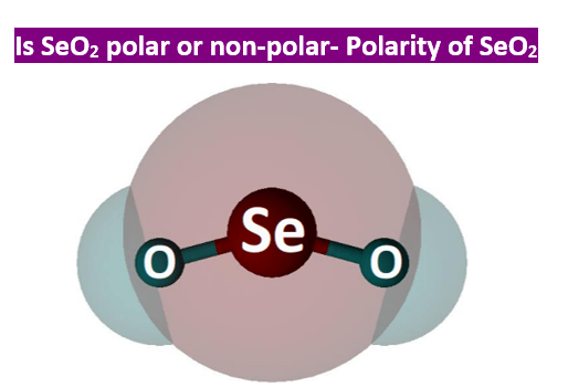 is seo2 polar or nonpolar