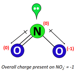 overall charge in no2-