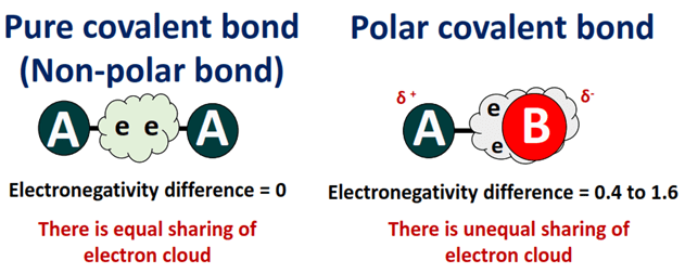 polar bond vs nonpolar bond based on electronegativity