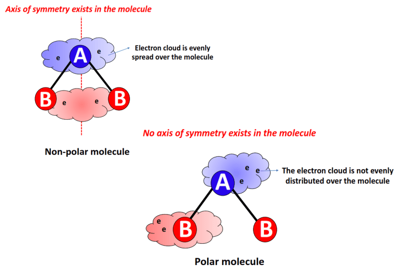 polar vs nonpolar molecule