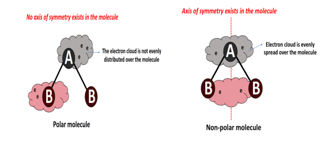 polar vs nonpolar molecule