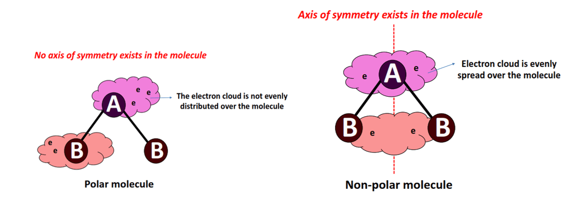 polar vs nonpolar molecule