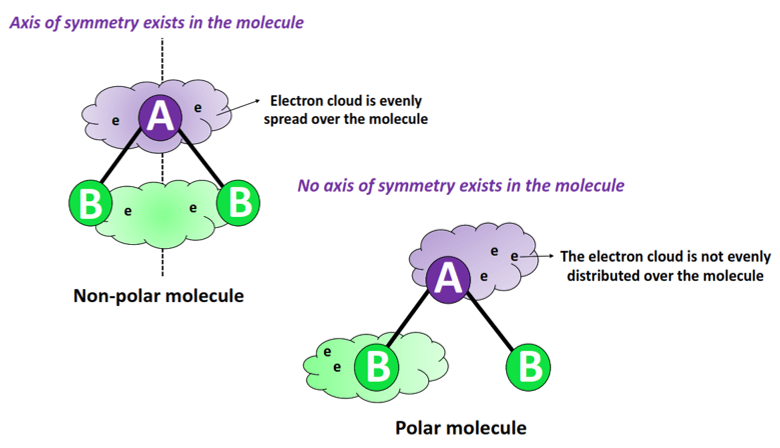 polar vs nonpolar molecule