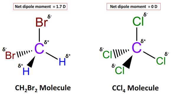 polarity of CH2Br2 vs CCl4