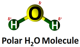 polarity of H2O molecule