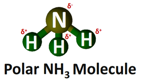 polarity of NH3 molecule