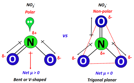 polarity of NO2- vs NO3-