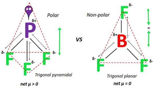 polarity of PF3 vs BF3