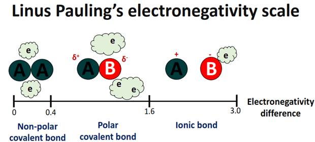 polarity of bonds according to pauling scale of electronegativity