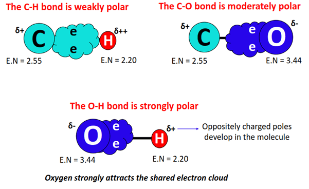 polarity of bonds in ch3oh