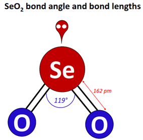 seo2 bond angle