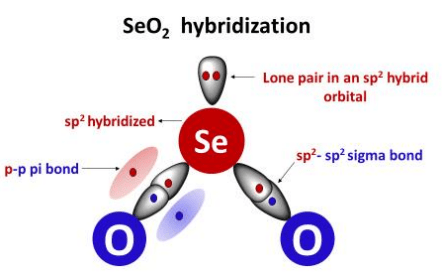 seo2 hybridization