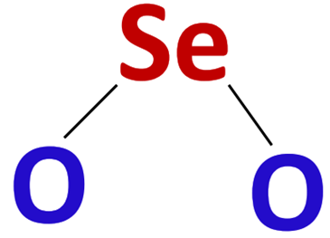 seo2 skeletal structure