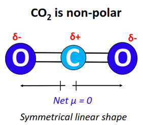 why is co2 nonpolar although the bonds in it polar