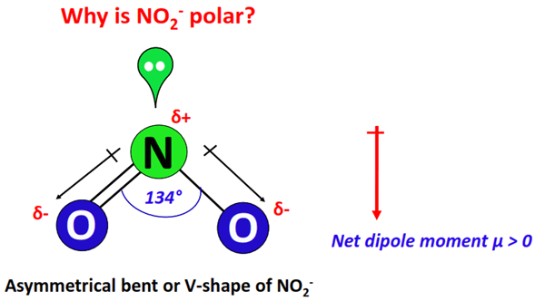 why is no2- polar