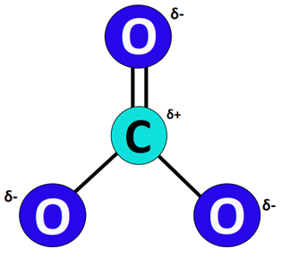 CO32- dipole charges