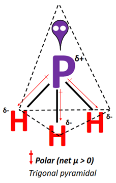 PH3 is a weakly polar trigonal pyramidal molecule