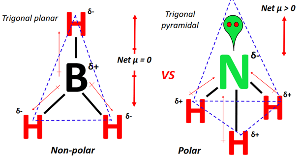 Why is BH3 nonpolar while NH3 is polar