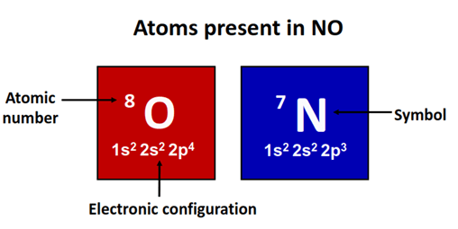 atom present in NO2+