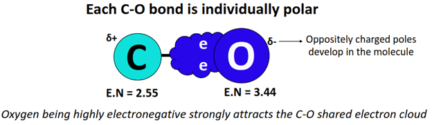 each C-O bond is polar in co32-